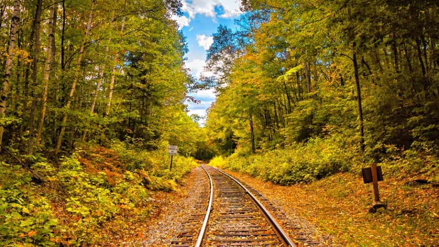 L&#039;autunno a bordo del Treno del Foliage